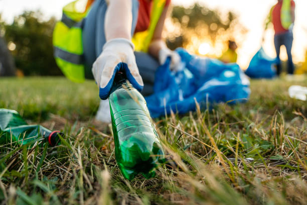Best Yard Waste Removal  in Lake Hamilton, AR