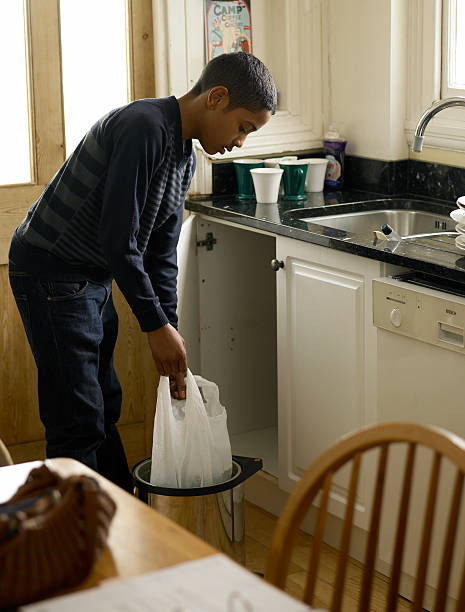 Best Attic Cleanout Services  in Lake Hamilton, AR